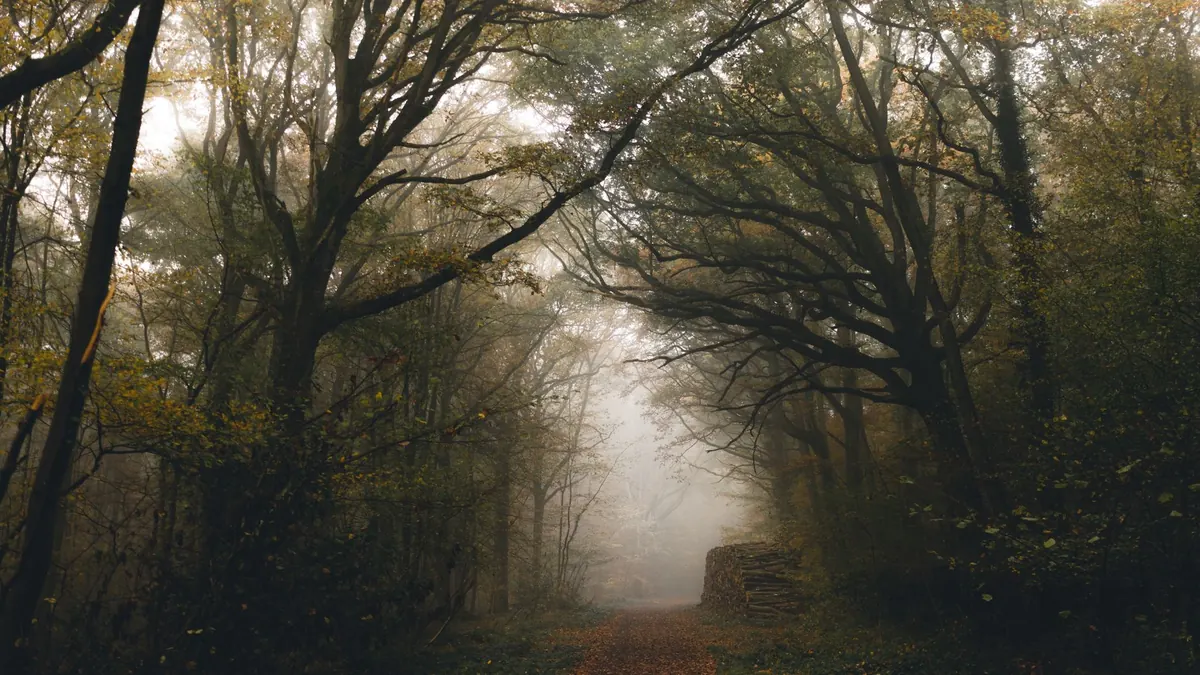 British Folklore Creatures: A Beginner's Guide to Local Legends